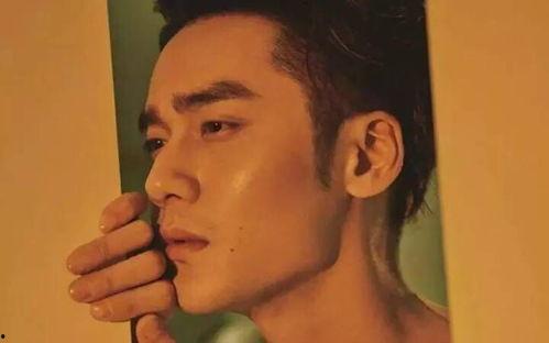 爱娱乐的吃瓜欢,揭秘娱乐圈幕后故事