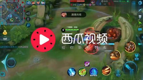 娱乐吃瓜背景音乐推荐大全